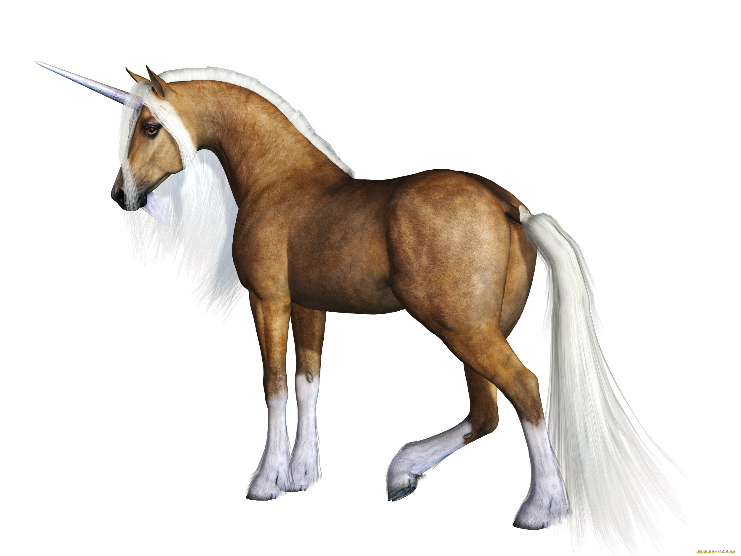 3 ,  , animals, , 